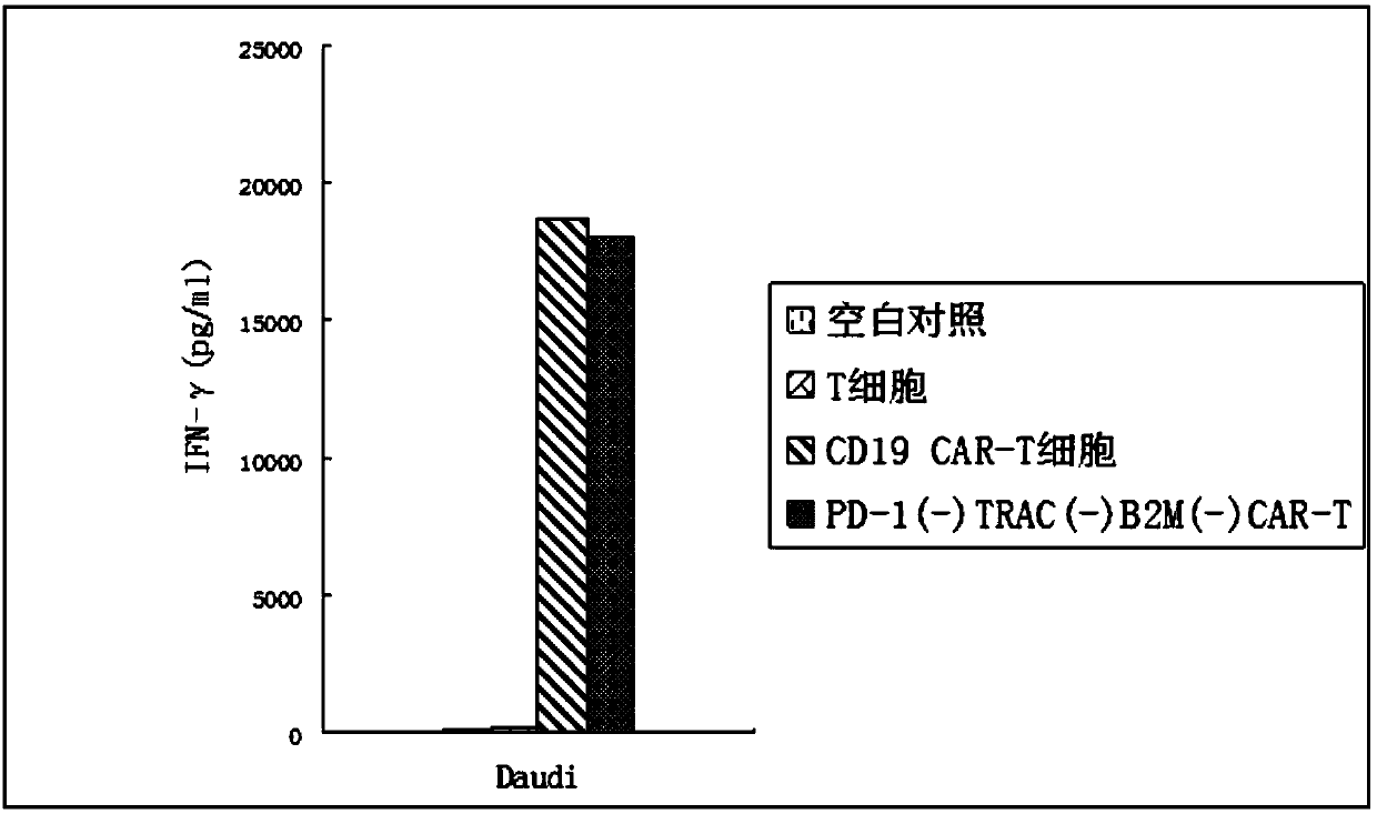 Method for preparing general type CAR-T cells by using CRISPR/Cas9+AAV