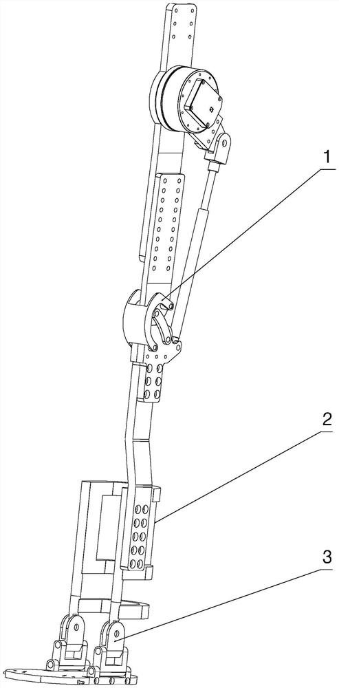 Bionic knee-ankle joint power-assisted exoskeleton device