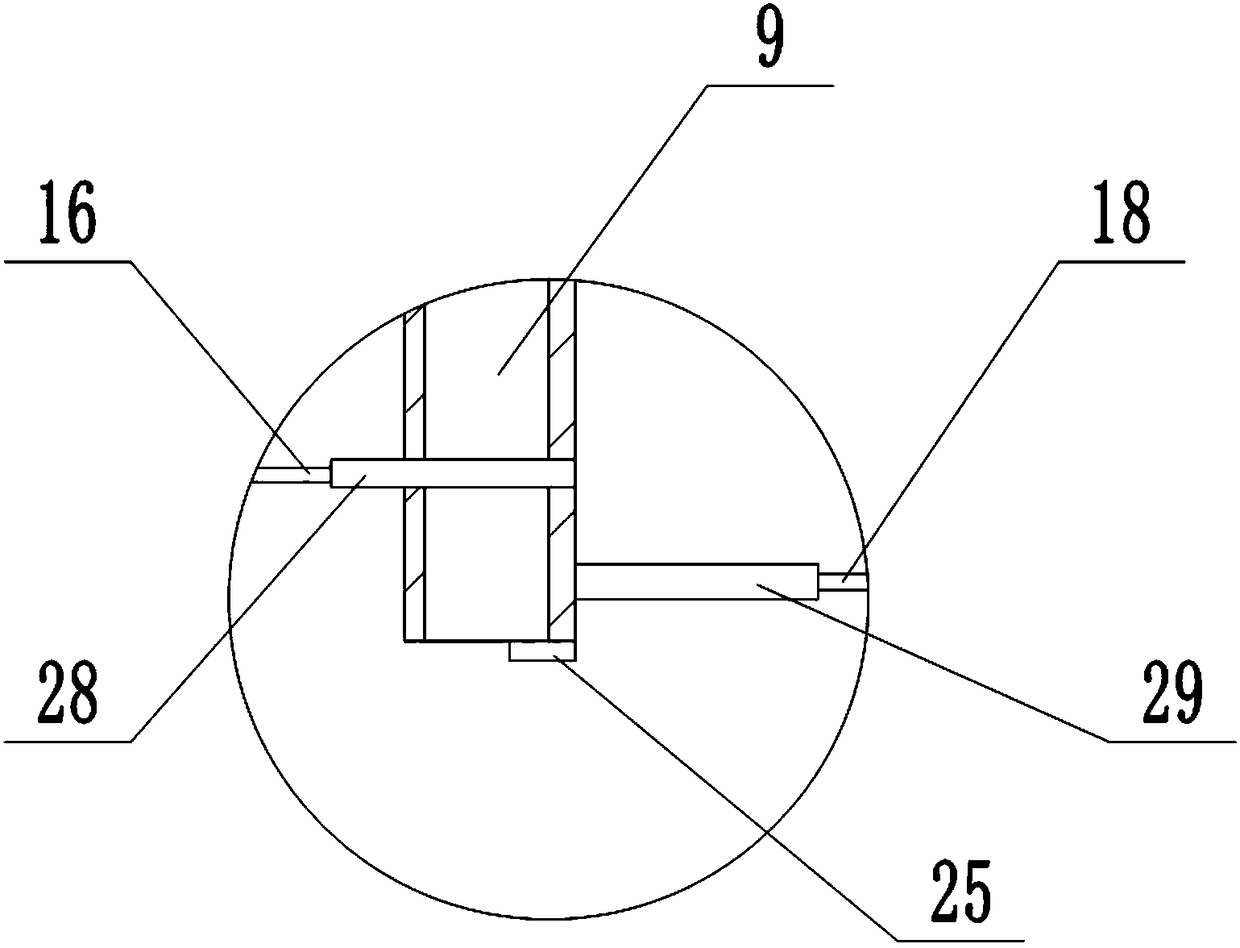 Automatic feeder of pig feed