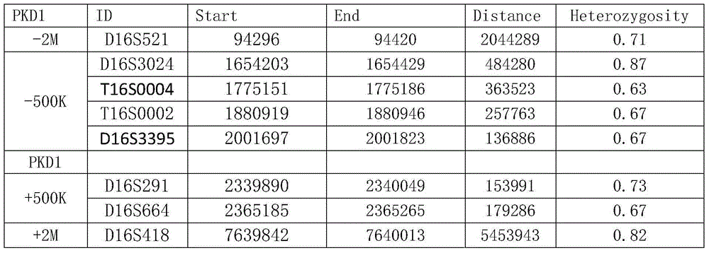 STR locus of PKD1 gene and application thereof