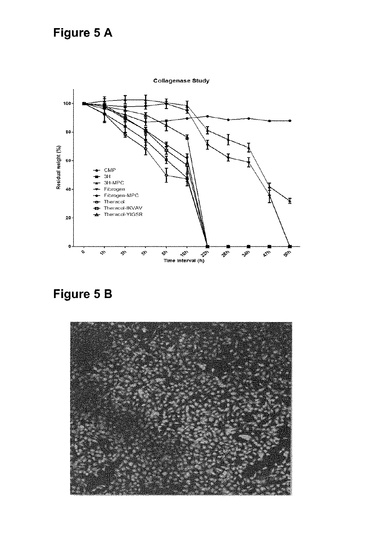 Collagen mimetic peptide