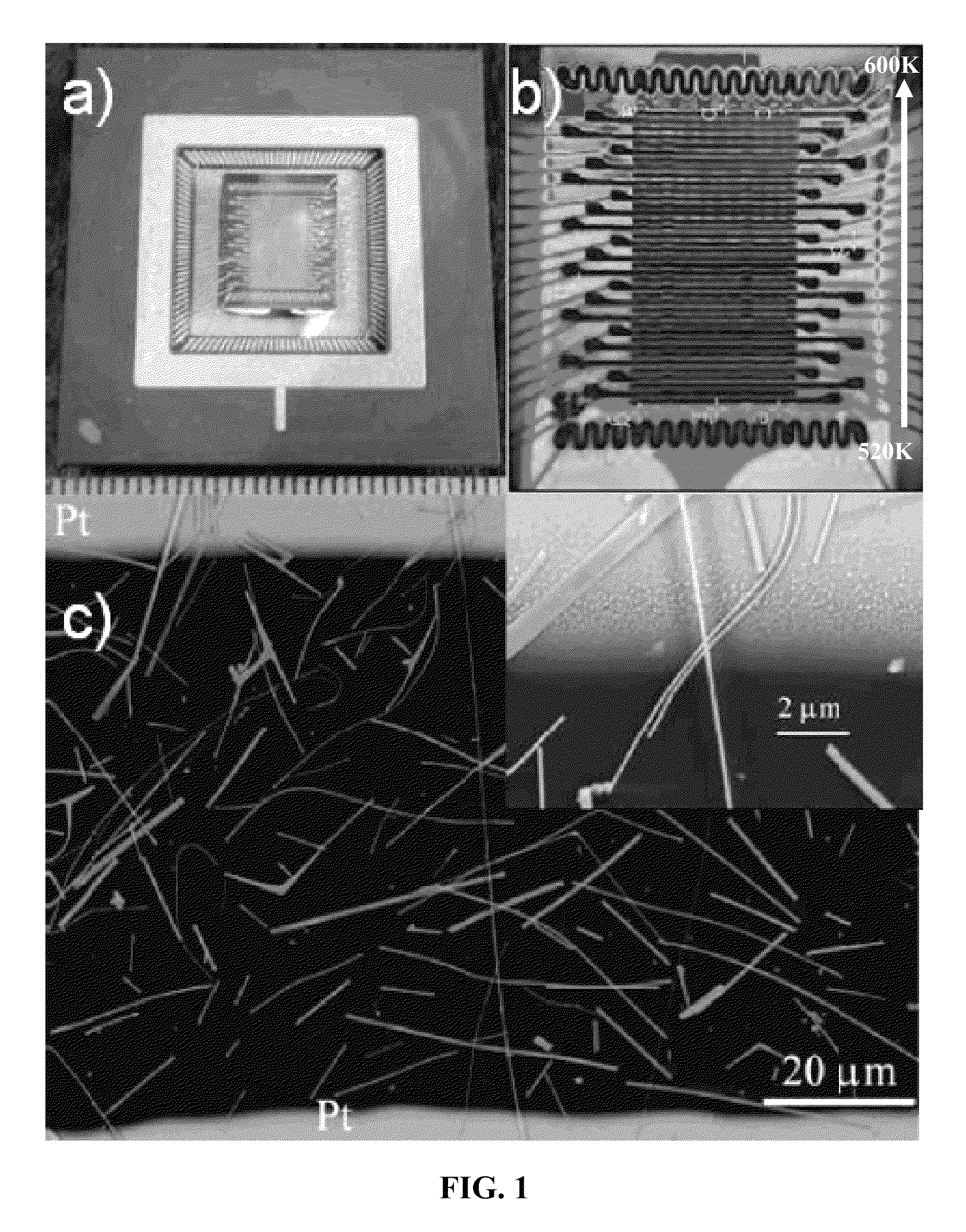 Analyte multi-sensor for the detection and identification of analyte and a method of using the same