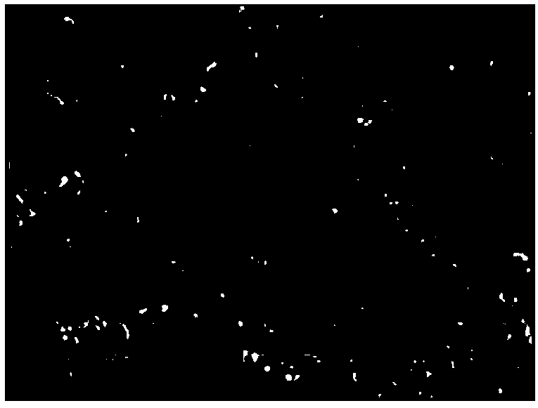 A preparation method of antibacterial periodontal tissue regeneration film