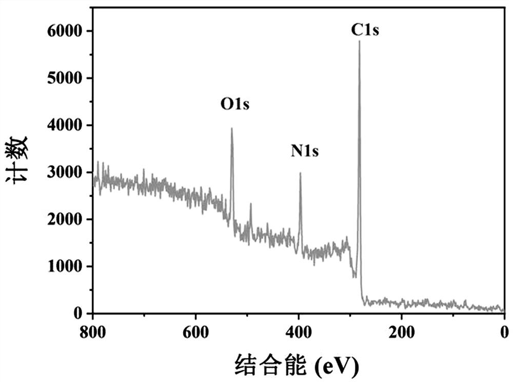 Application of carbon quantum dots in targeted cell nucleolus wash-free imaging