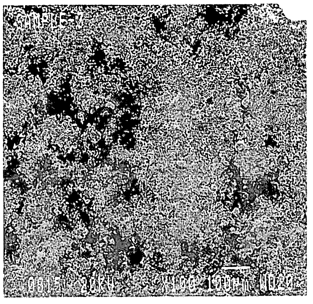 Tantalum powders and methods of producing same