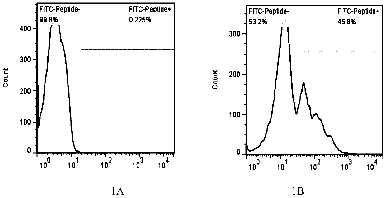 Construction method of LRFFT2 cells