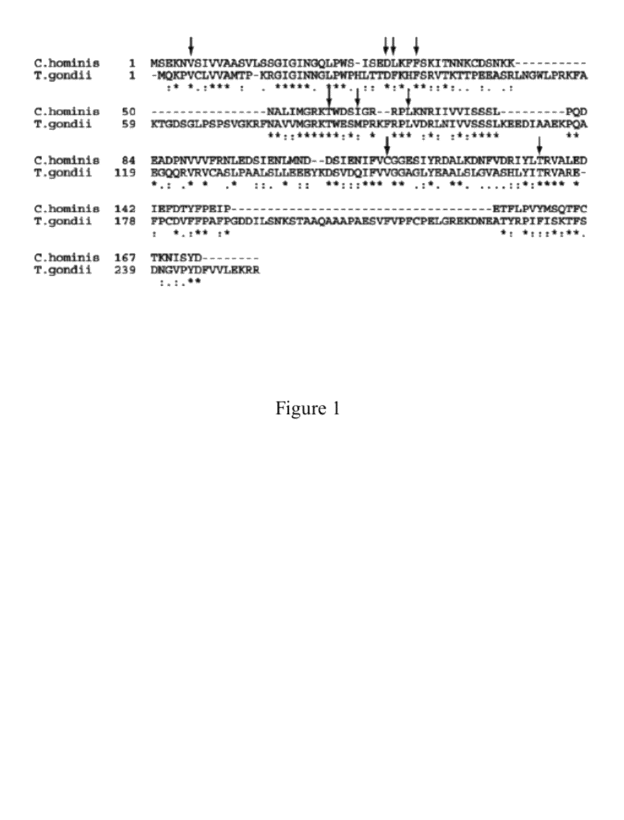 Heterocyclic analogs of propargyl-linked inhibitors of dihydrofolate reductase