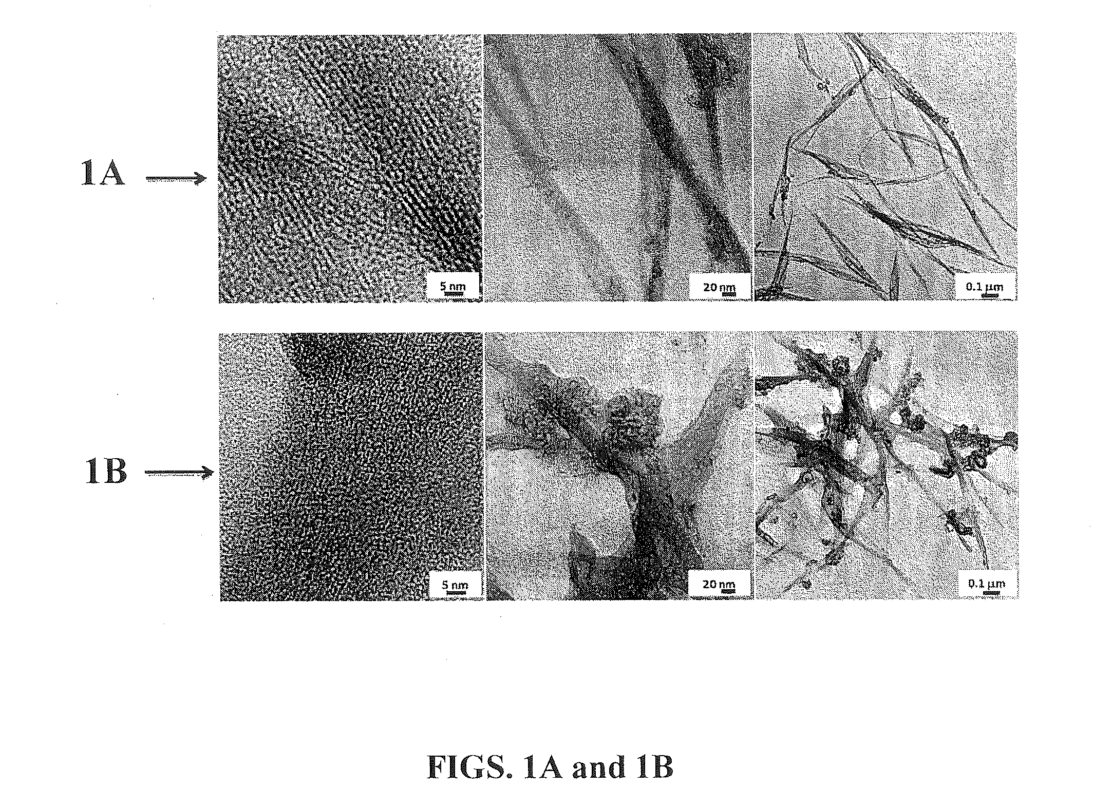 Degradable carbon nanotube-containing biosensors and methods for target clinical marker detection