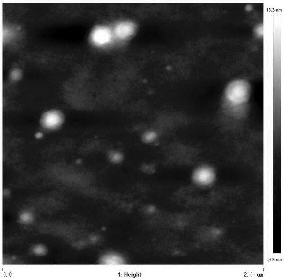 A bovine serum albumin-hydrophobically modified chitosan nanocapsule and preparation method thereof