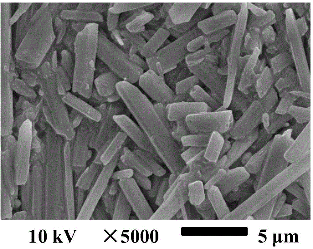 Two novel crystal forms of 9-nitrocamptothecin and preparation methods thereof