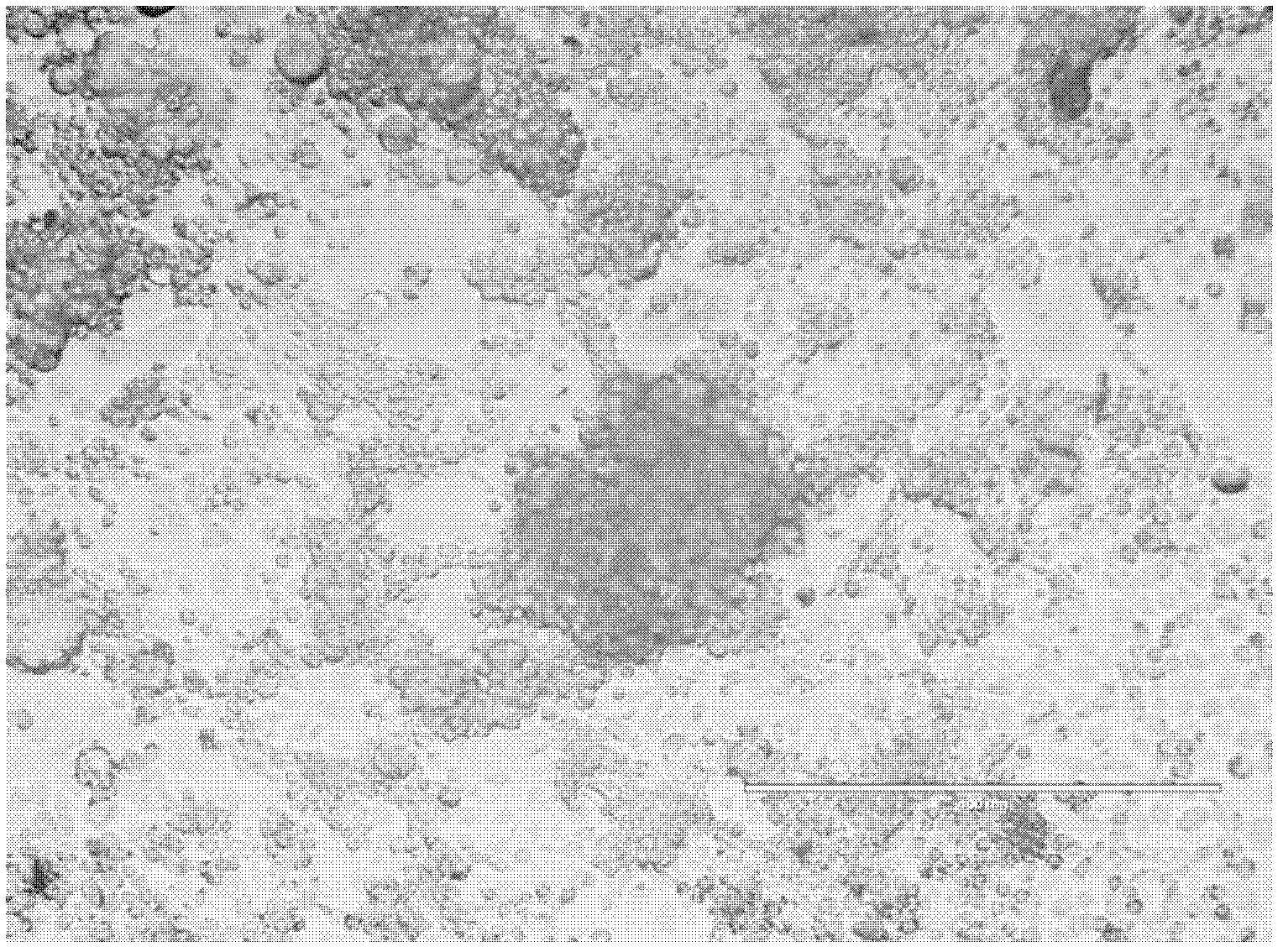 Transgenic insect cell line for high-yield baculovirus, and preparation method and application thereof