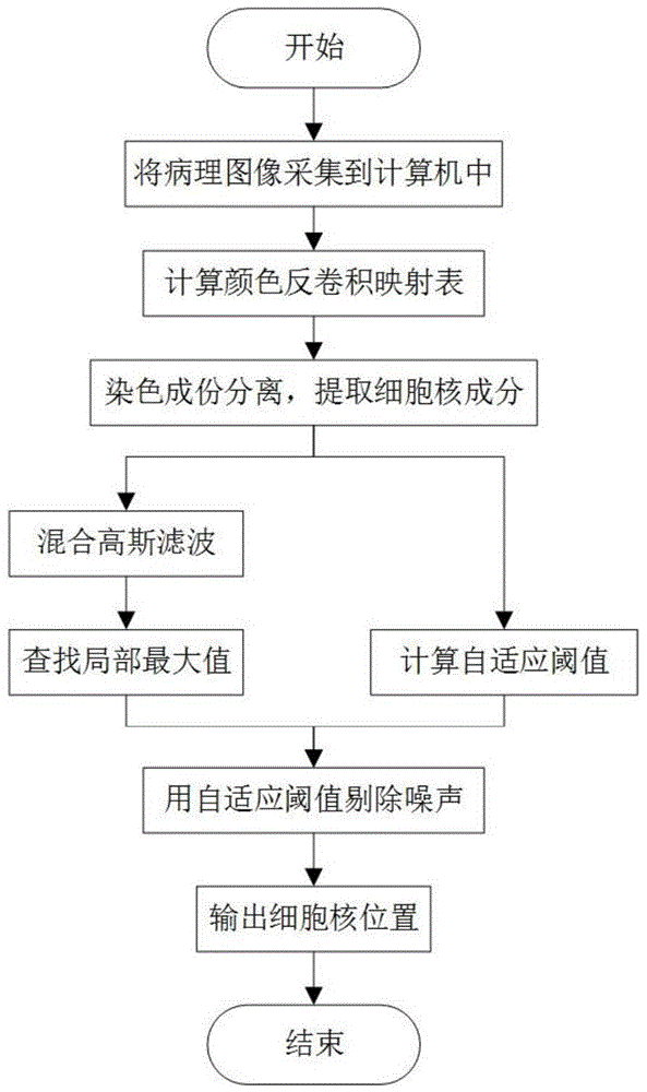 Pathological image cell nucleus quick location method