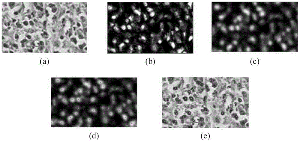 Pathological image cell nucleus quick location method