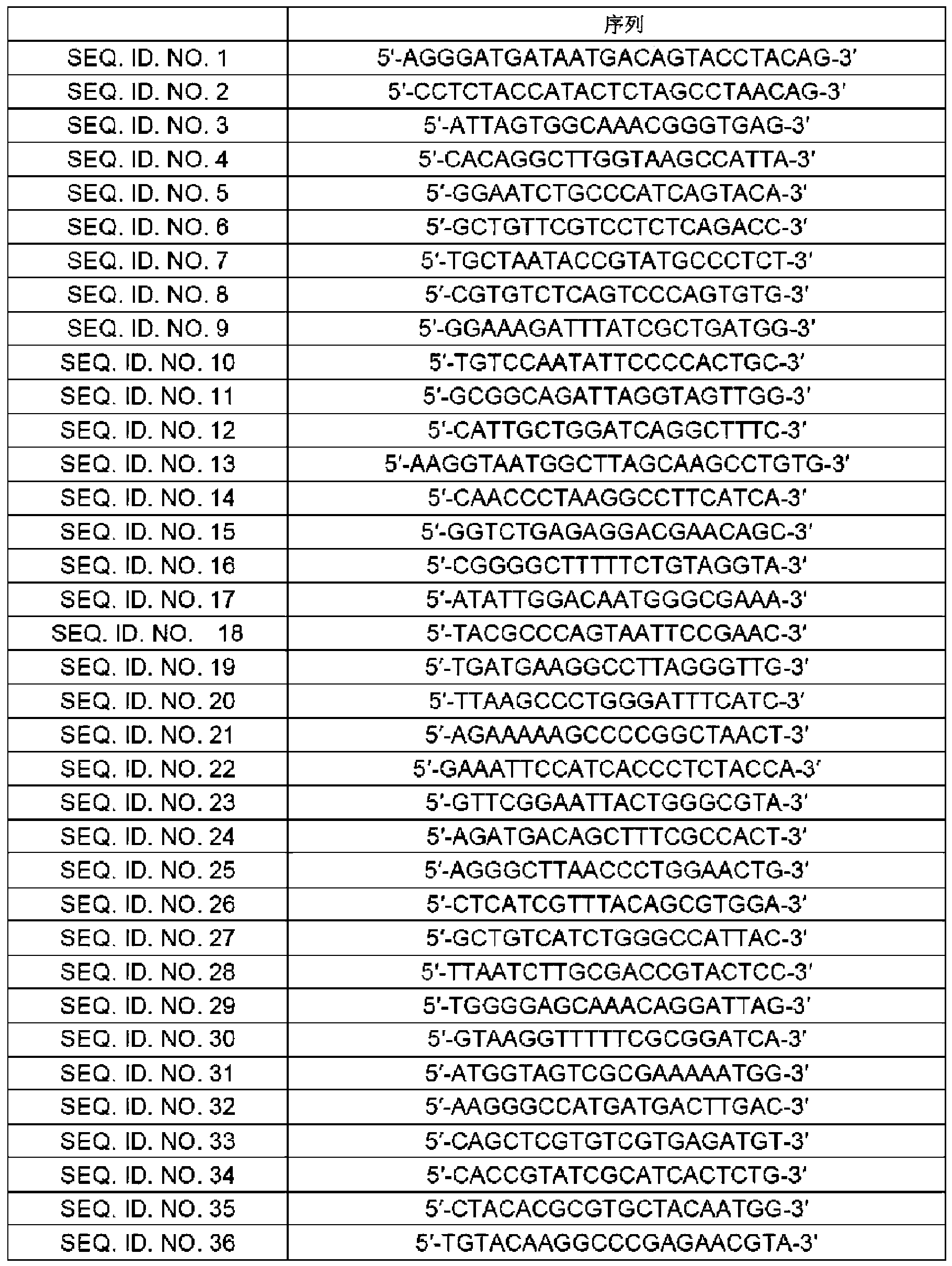 Primer pairs for detecting orientia tsutsugamushi and detection method using the same