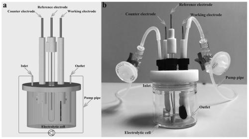 Method for synchronously detecting biochemical oxygen demand and nitrate nitrogen content in water body based on bidirectional electron transfer electrochemical active microorganisms