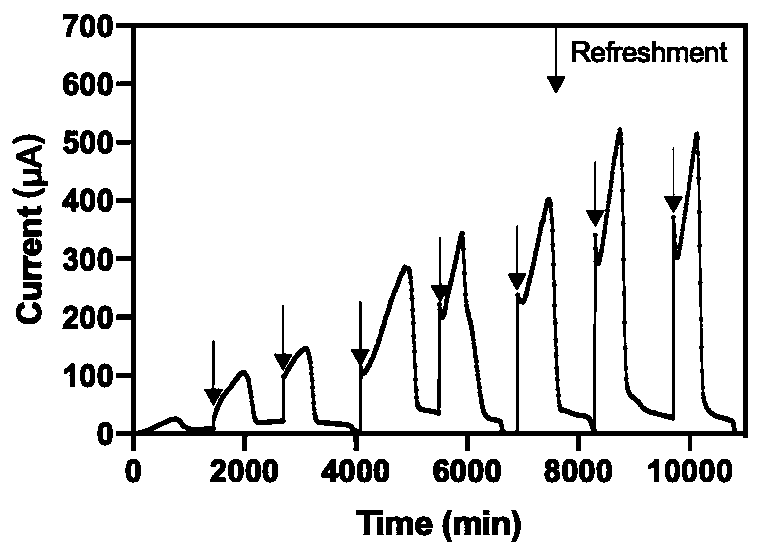 Method for synchronously detecting biochemical oxygen demand and nitrate nitrogen content in water body based on bidirectional electron transfer electrochemical active microorganisms