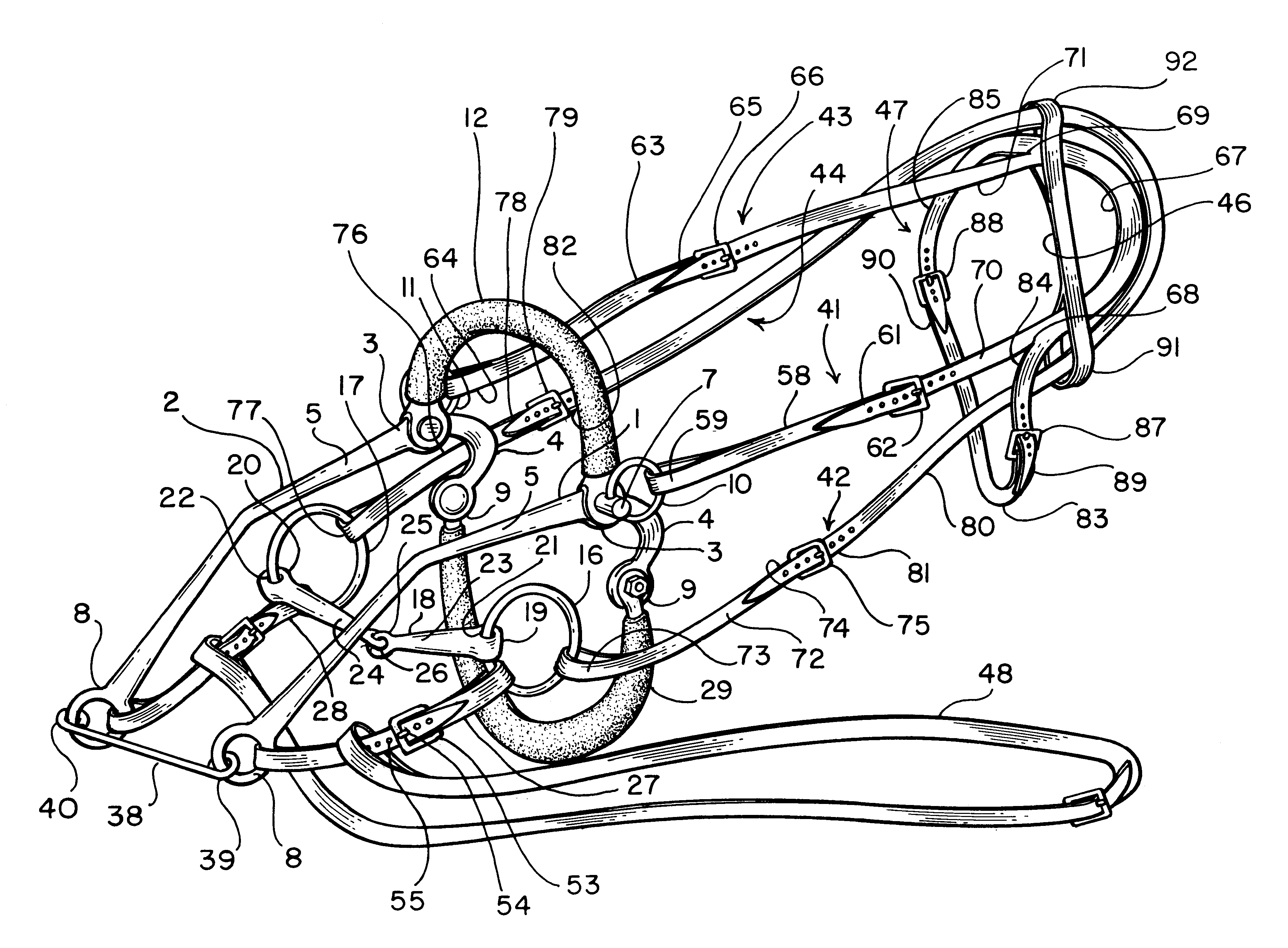 Combined hackamore bridle and bit assembly for a horse