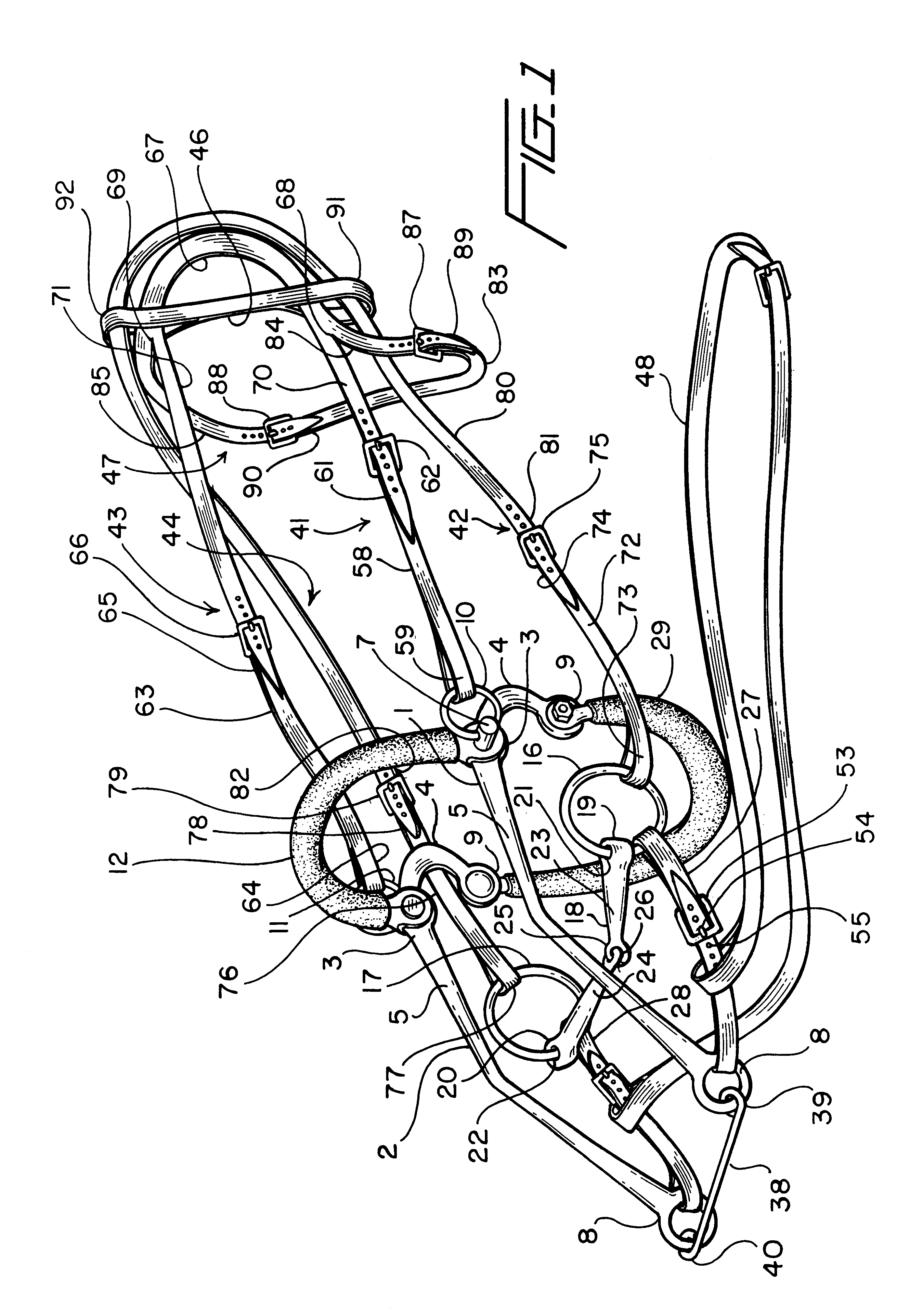 Combined hackamore bridle and bit assembly for a horse