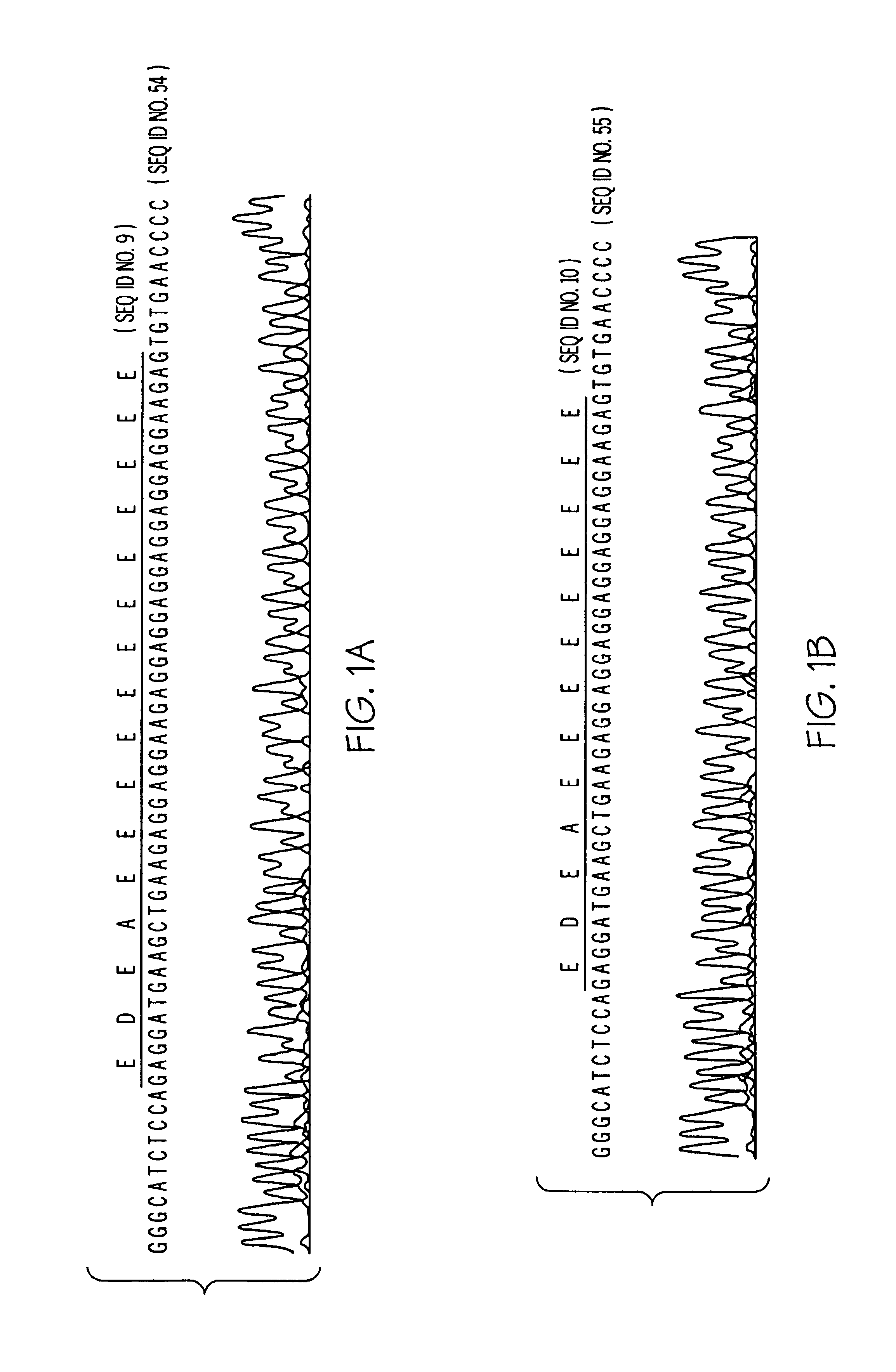 Alpha-2 adrenergic receptor polymorphisms