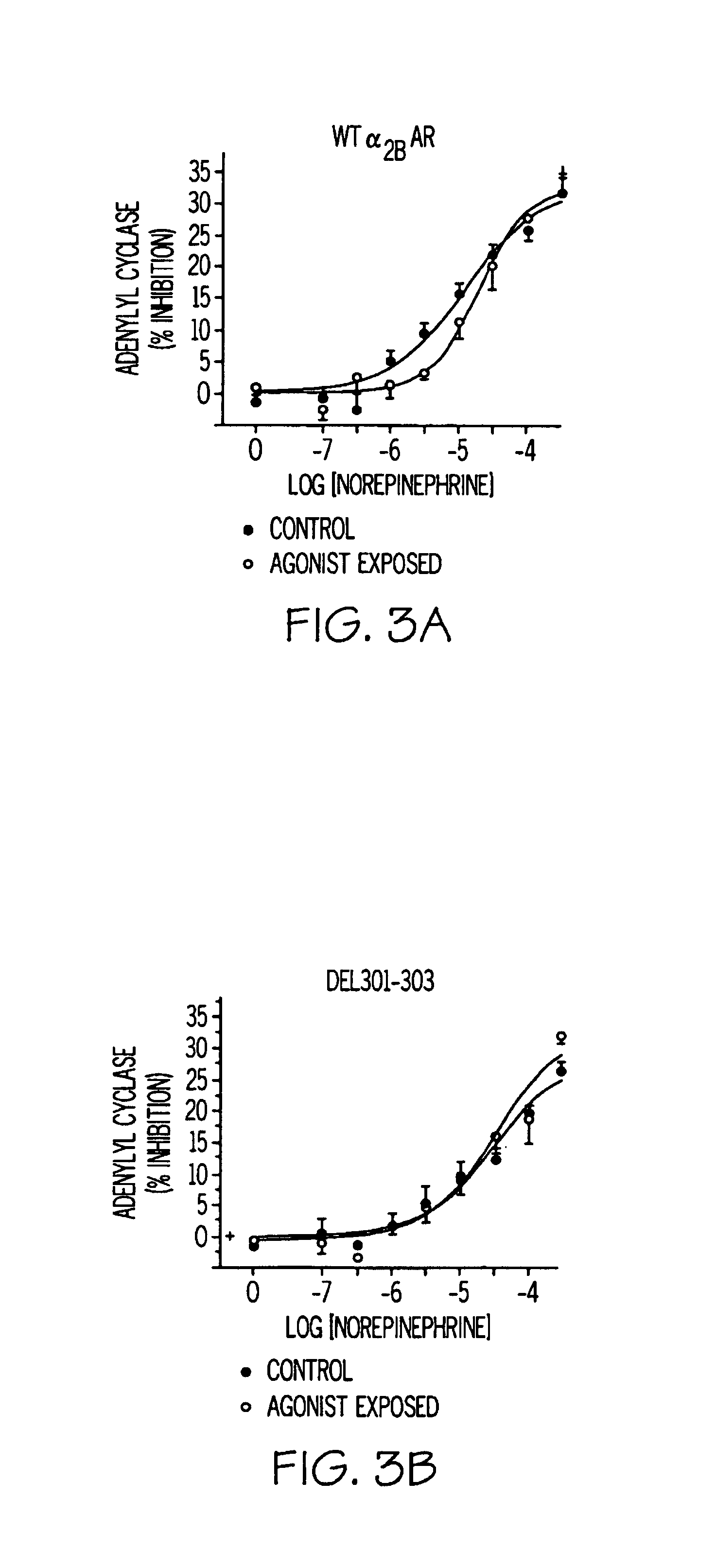 Alpha-2 adrenergic receptor polymorphisms