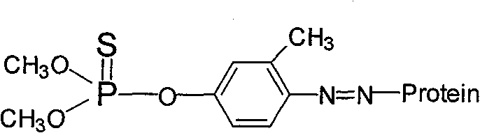 Fenitrothion hapten, artificial antigen, specified antibody and use thereof