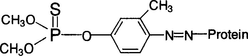 Fenitrothion hapten, artificial antigen, specified antibody and use thereof