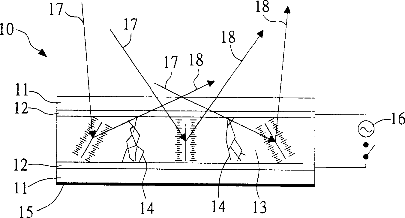 Black-white cholesterol liquid crystal display and its producing method