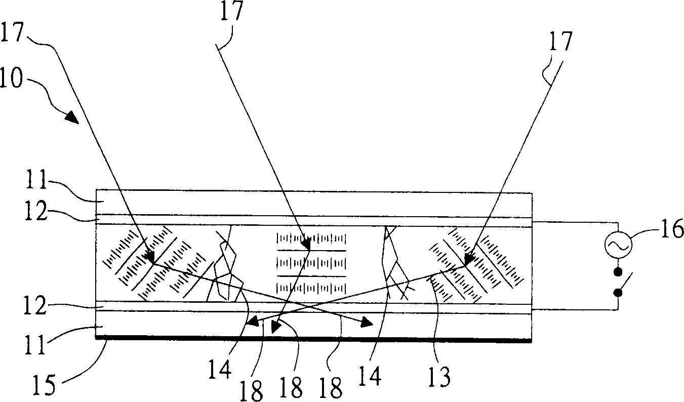 Black-white cholesterol liquid crystal display and its producing method