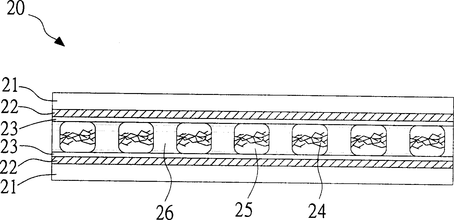 Black-white cholesterol liquid crystal display and its producing method