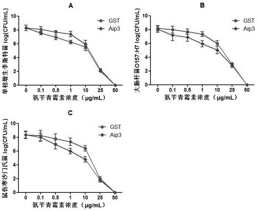 Bifidobacterium longum protein as well as preparation method and application thereof