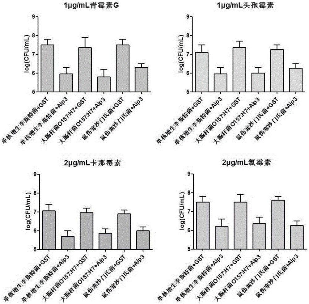 Bifidobacterium longum protein as well as preparation method and application thereof