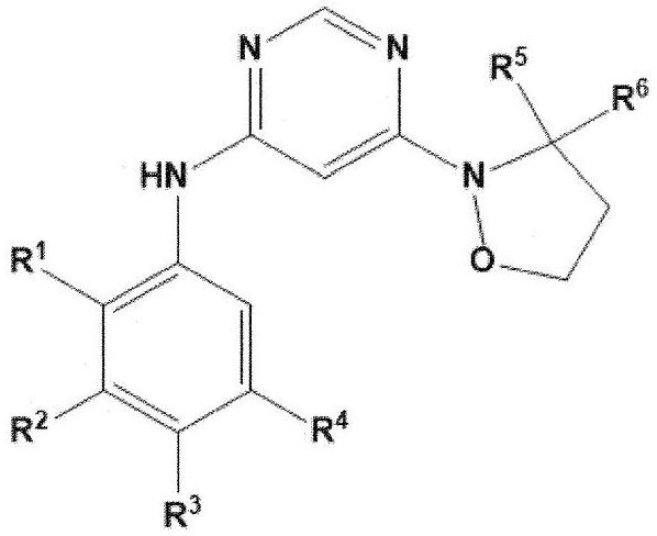 Heteroaryl derivative, method for producing same, and pharmaceutical composition comprising same as effective component