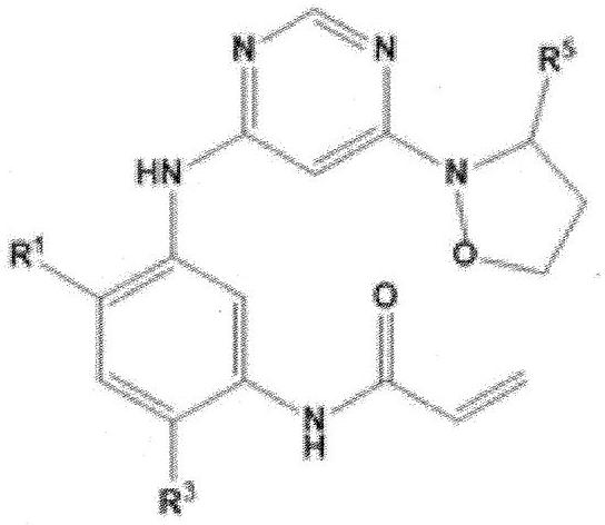 Heteroaryl derivative, method for producing same, and pharmaceutical composition comprising same as effective component