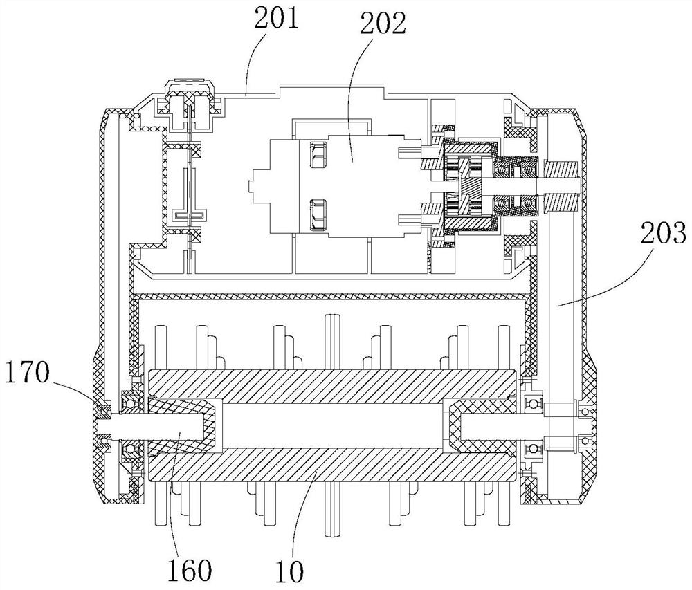 Cleaning equipment and roller brush thereof