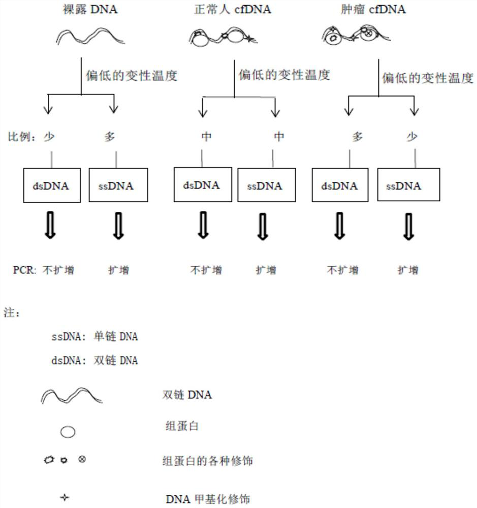 Primer pair sets and kits for detection of genetic modification differences in cytosine deaminase and related molecules in cfDNA