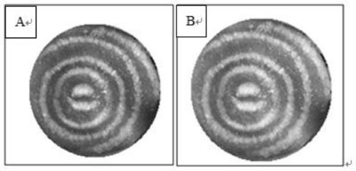 Preparation method of polydopamine concentric ring structure color film