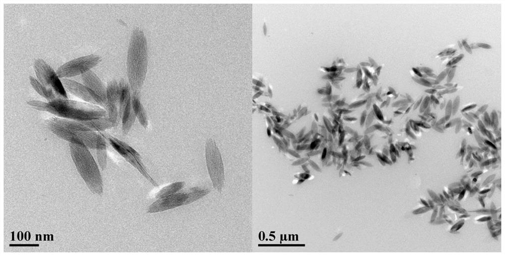 Polydopamine hair dye and preparation method therefor