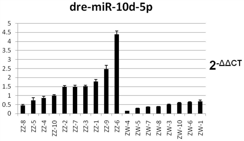 A sex-differential expression label and kit for tongue sole exosomes