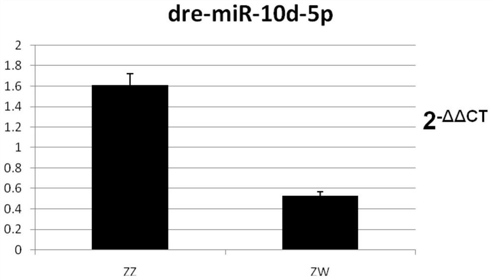 A sex-differential expression label and kit for tongue sole exosomes