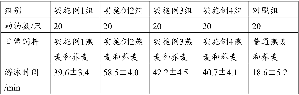 Monascus fermented antifatigue oat and buckwheat and preparation method thereof