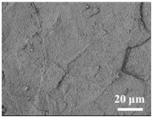 A kind of expandable graphite flame retardant with surface coated nanoparticles and preparation method thereof