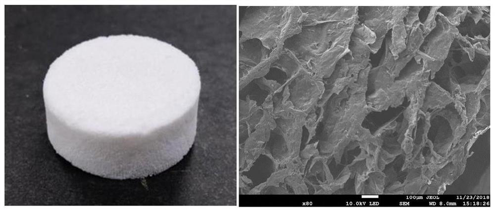 Bone-imitated hydroxyapatite-collagen composite scaffold and preparation method thereof