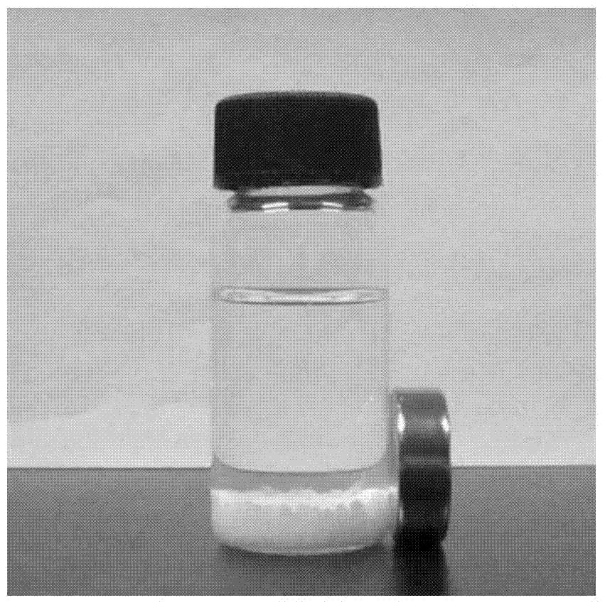 Polyvinyl alcohol magnetic particles as well as preparation method and application thereof