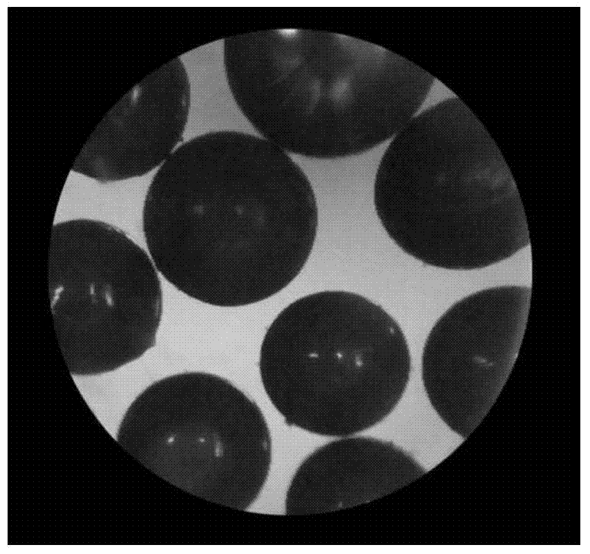 Polyvinyl alcohol magnetic particles as well as preparation method and application thereof