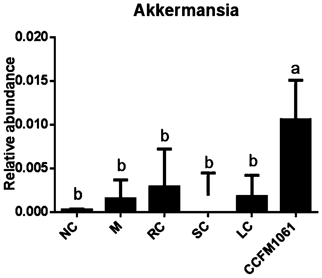 Bifidobacterium adolescentis CCFM1061, fermented food thereof and preparation method of microbial agent