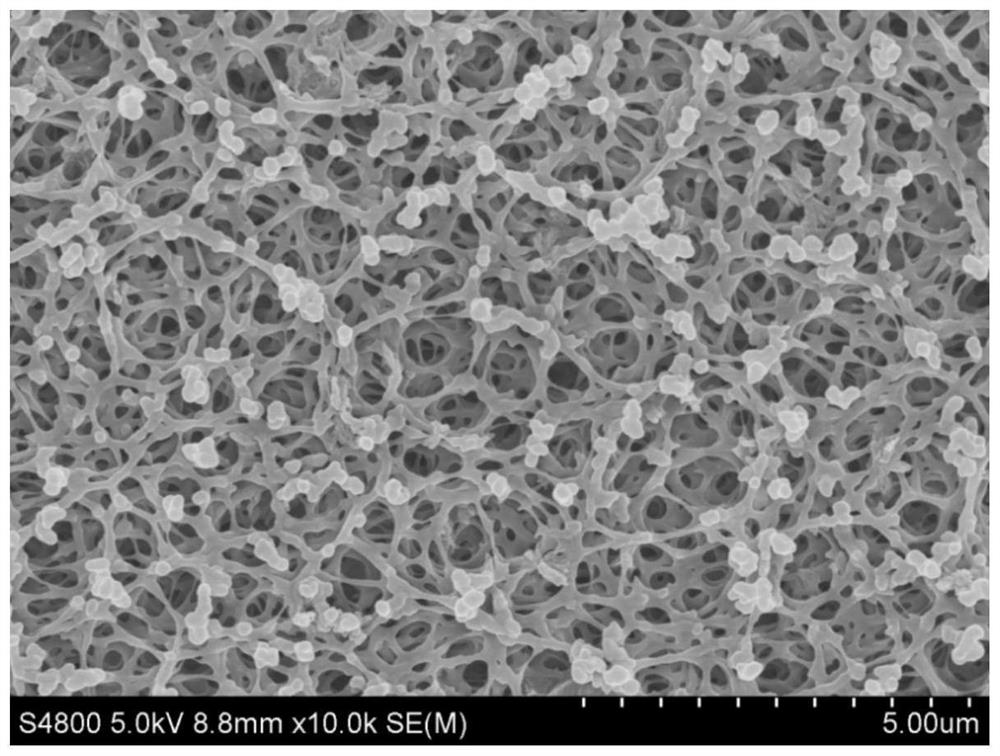 Method for preparing porous meta-aramid diaphragm through non-solvent induced phase separation method