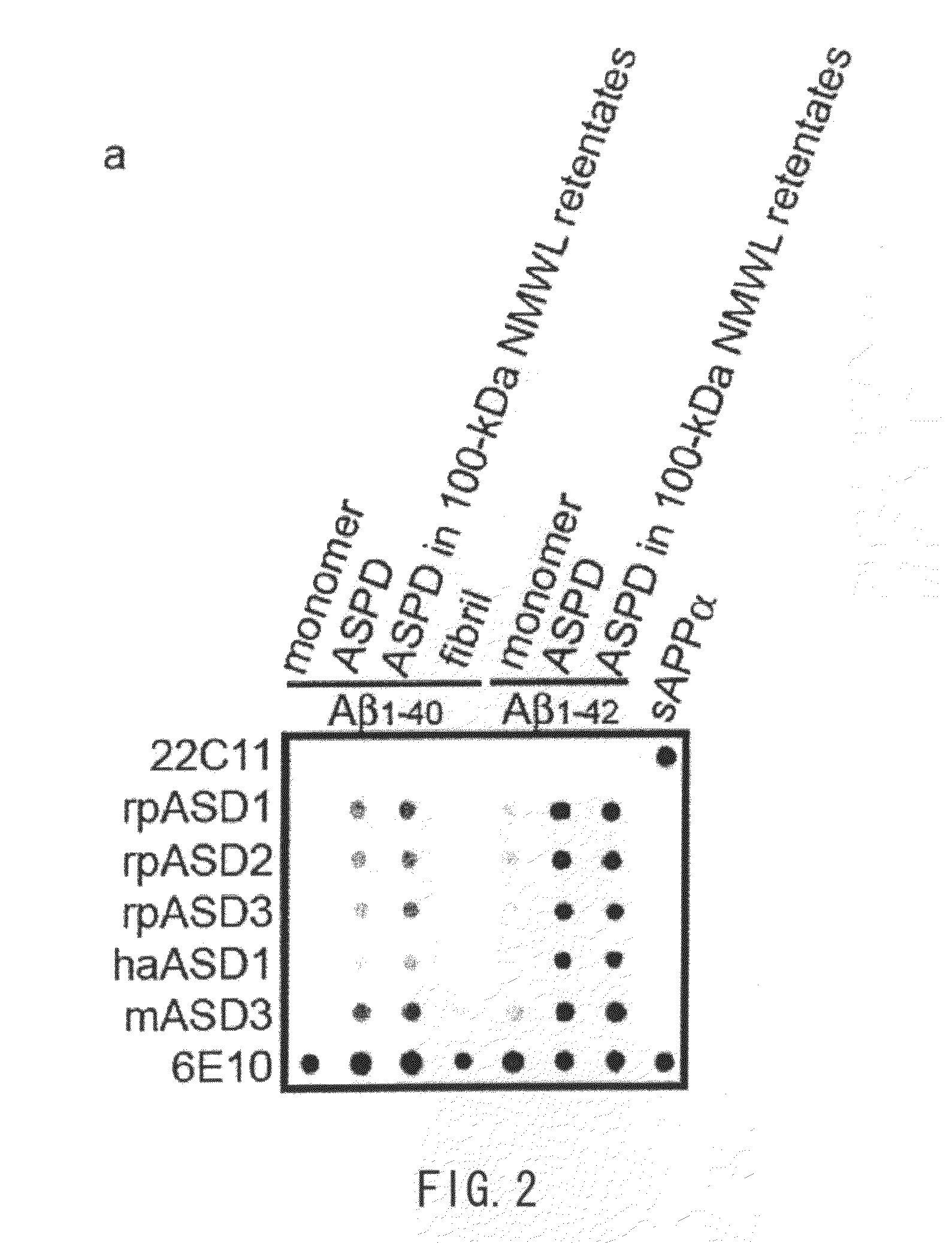 Antibody and use thereof