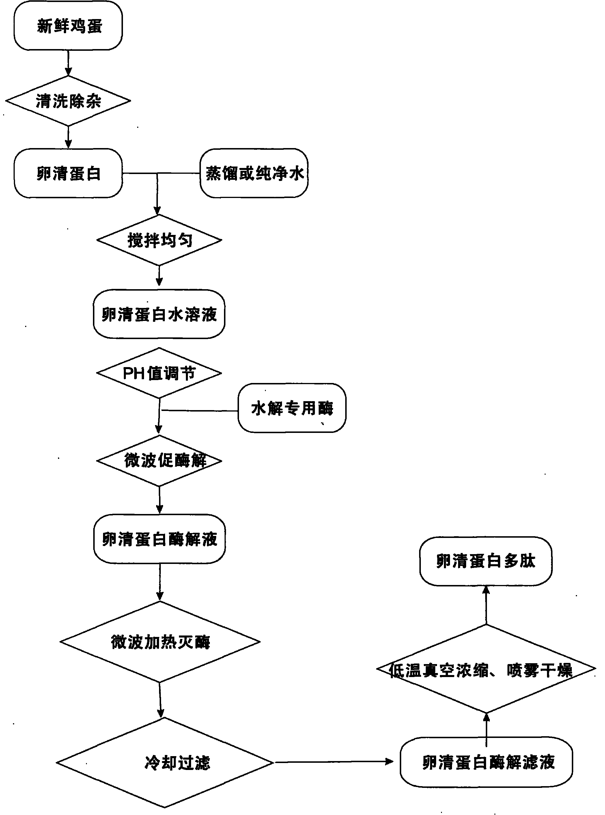 Method for preparing ovalbumin polypeptide by microwave-promoted enzymolysis