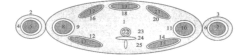 Three-dimensional digital imaging method of large view field cone-beam X-ray tilting scanning of biased detector