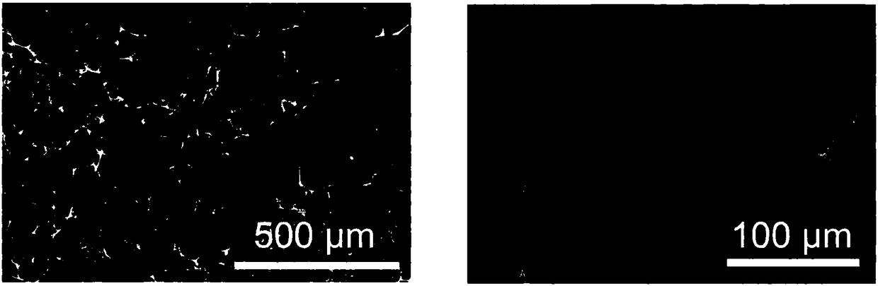 Anode material for lithium metal battery as well as preparation method and application of anode material